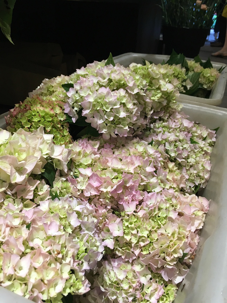 520 还有一种爱叫做爱自己【月河篇】