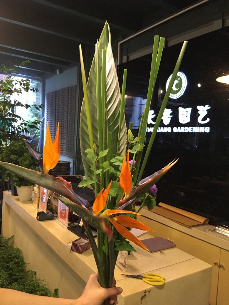 520 还有一种爱叫做爱自己【月河篇】