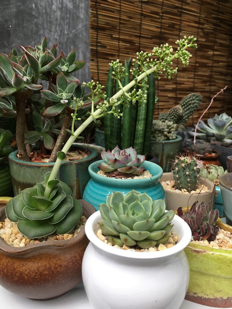 520 还有一种爱叫做爱自己【月河篇】