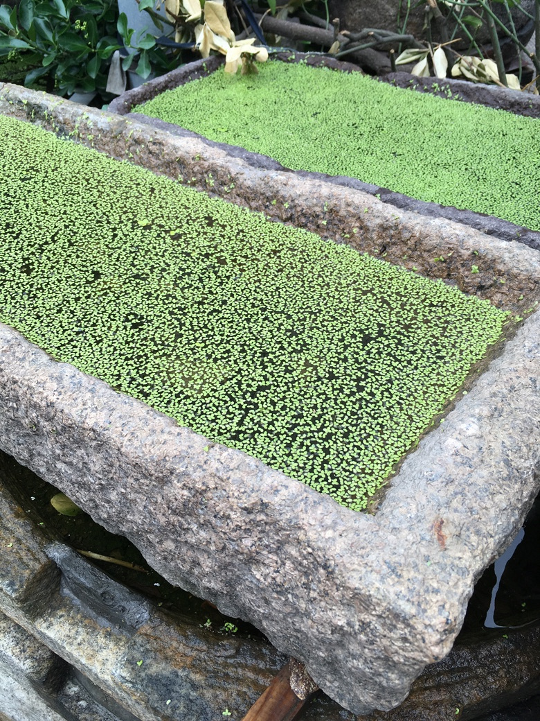 520 还有一种爱叫做爱自己【月河篇】