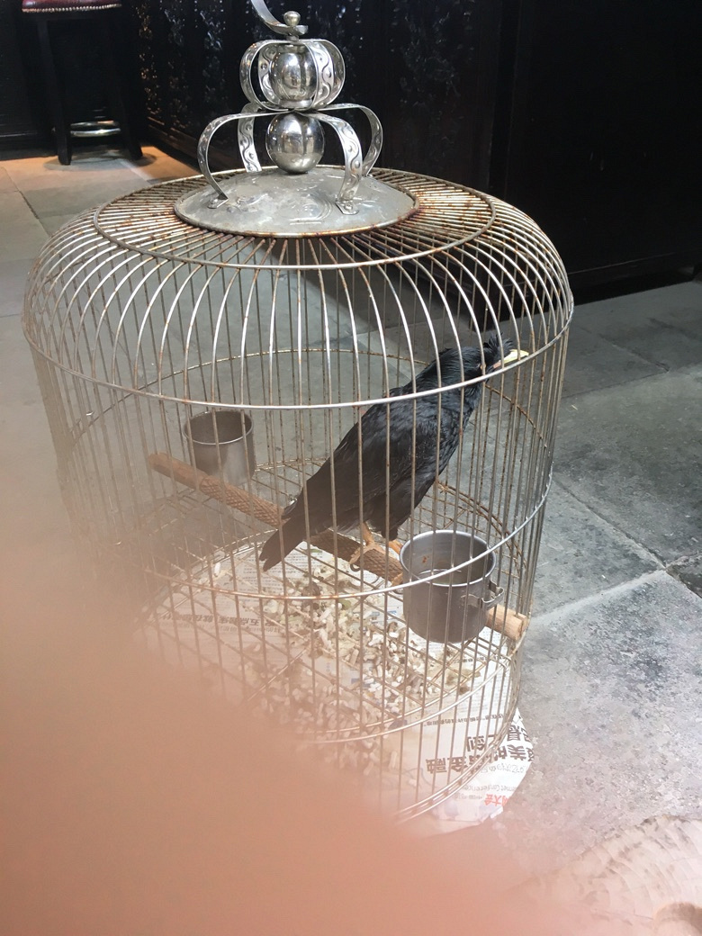 520 还有一种爱叫做爱自己【月河篇】