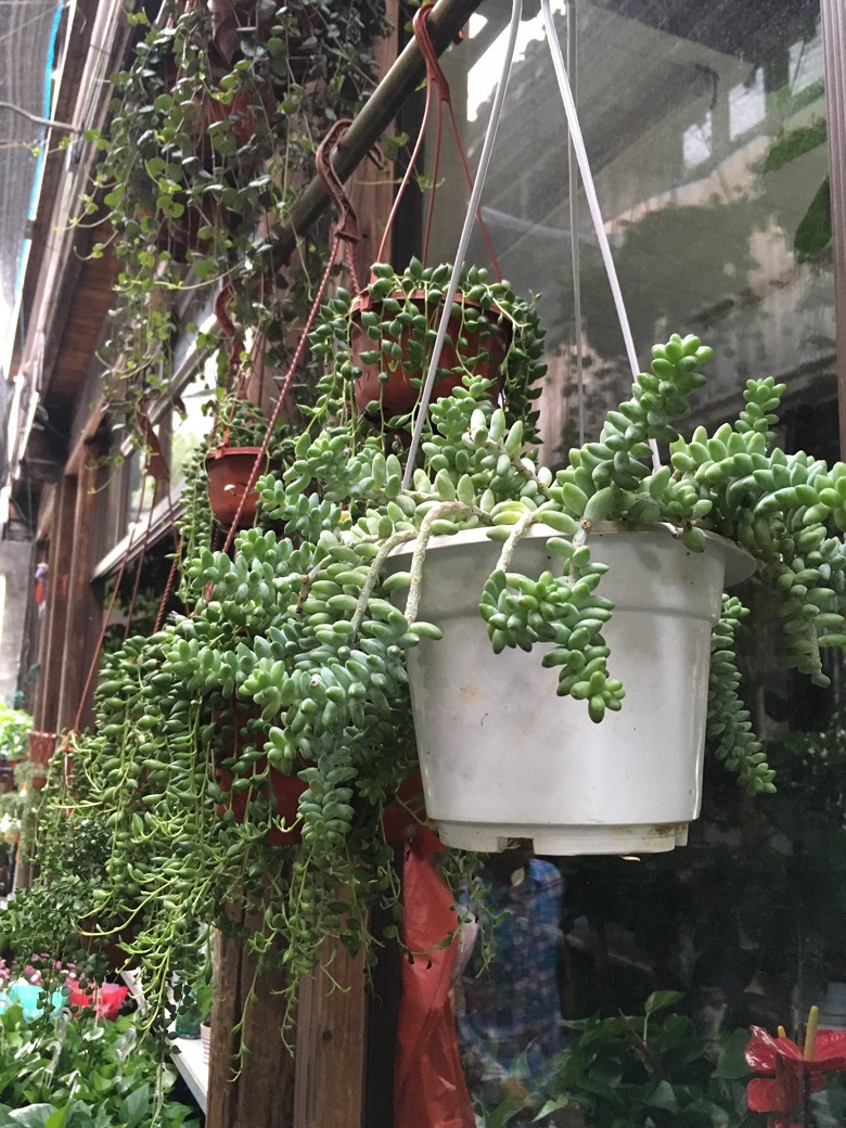 520 还有一种爱叫做爱自己【月河篇】