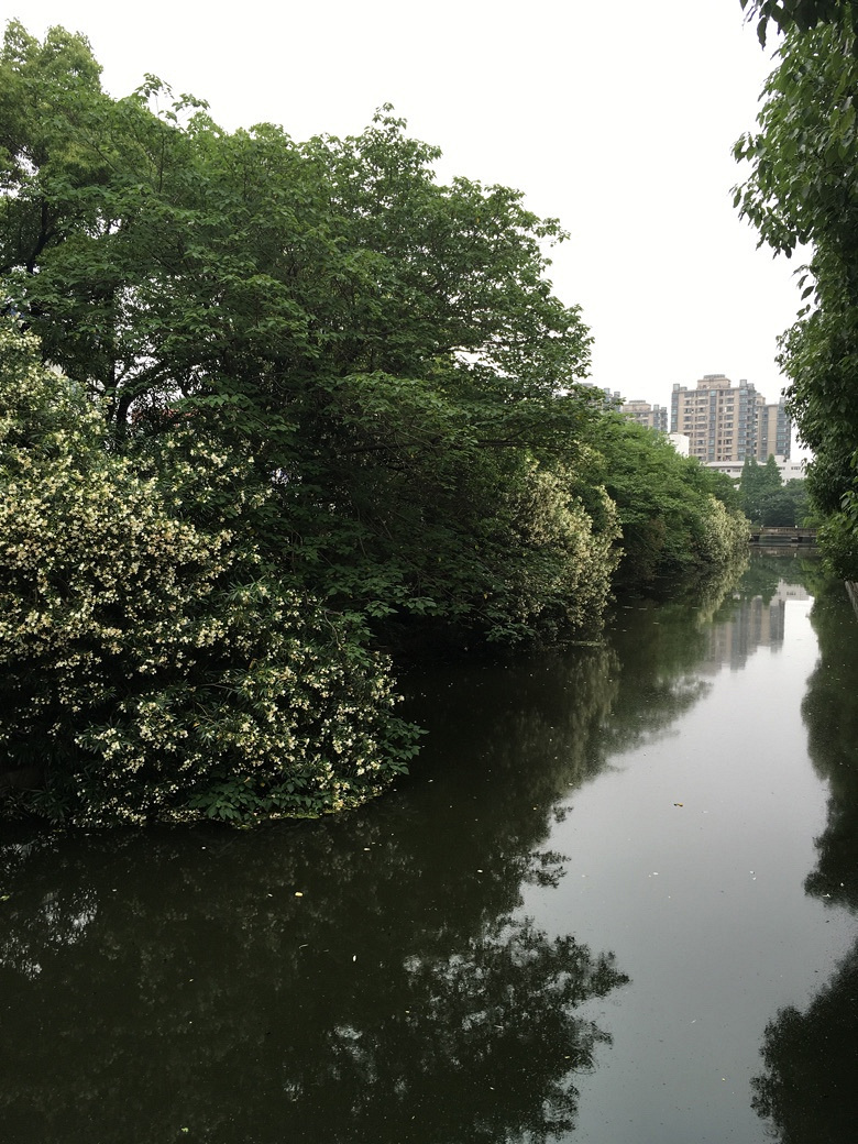 520 还有一种爱叫做爱自己【月河篇】