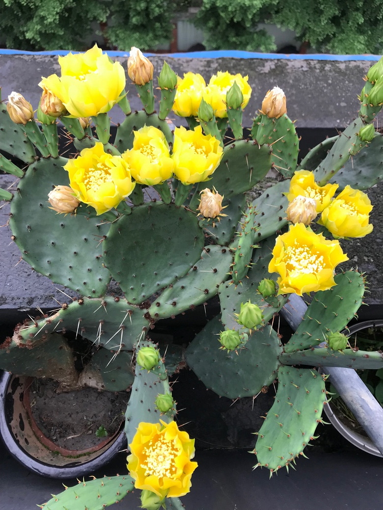 ��������