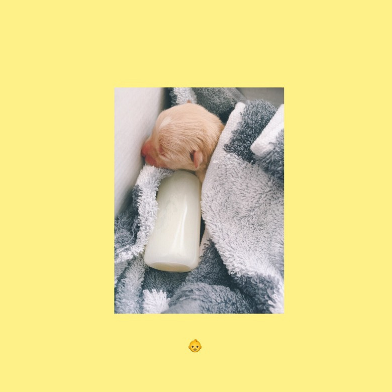 ��Һã��ҽ�����