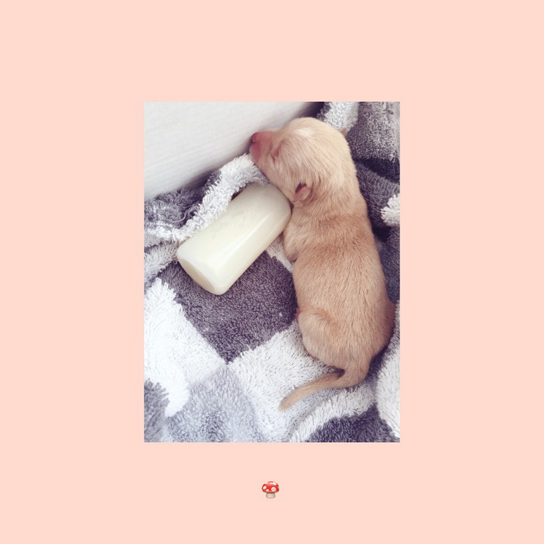 ��Һã��ҽ�����