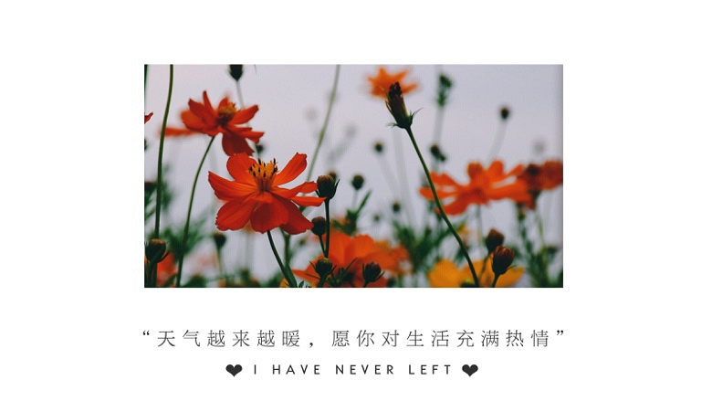 ��Ķ������Ļ����ֿ���