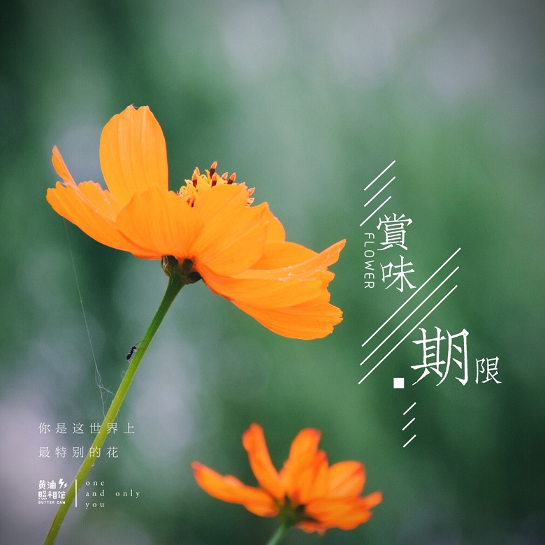 ��Ķ������Ļ����ֿ���