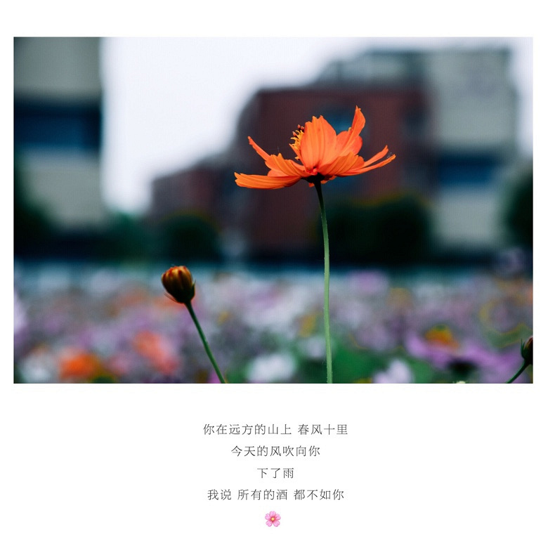 ��Ķ������Ļ����ֿ���