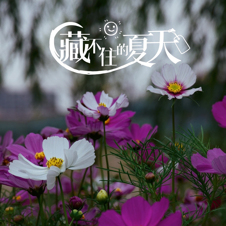 ��Ķ������Ļ����ֿ���