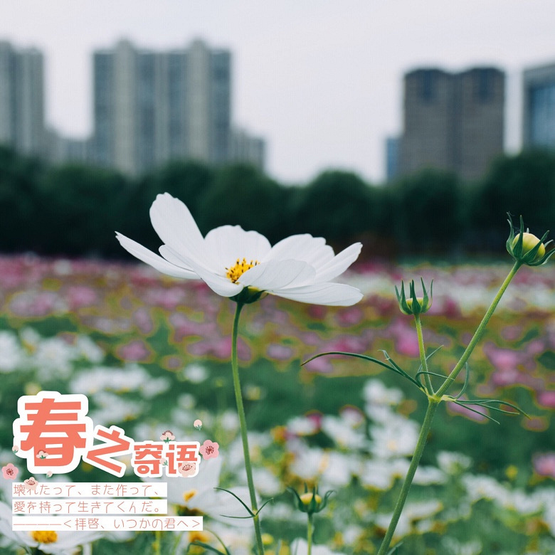 ��Ķ������Ļ����ֿ���