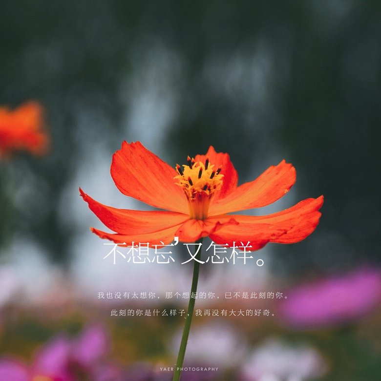 ��Ķ������Ļ����ֿ���