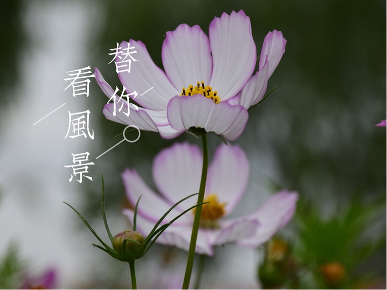 ��Ķ������Ļ����ֿ���