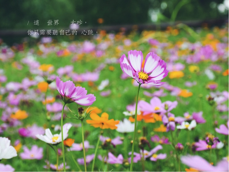 ��Ķ������Ļ����ֿ���