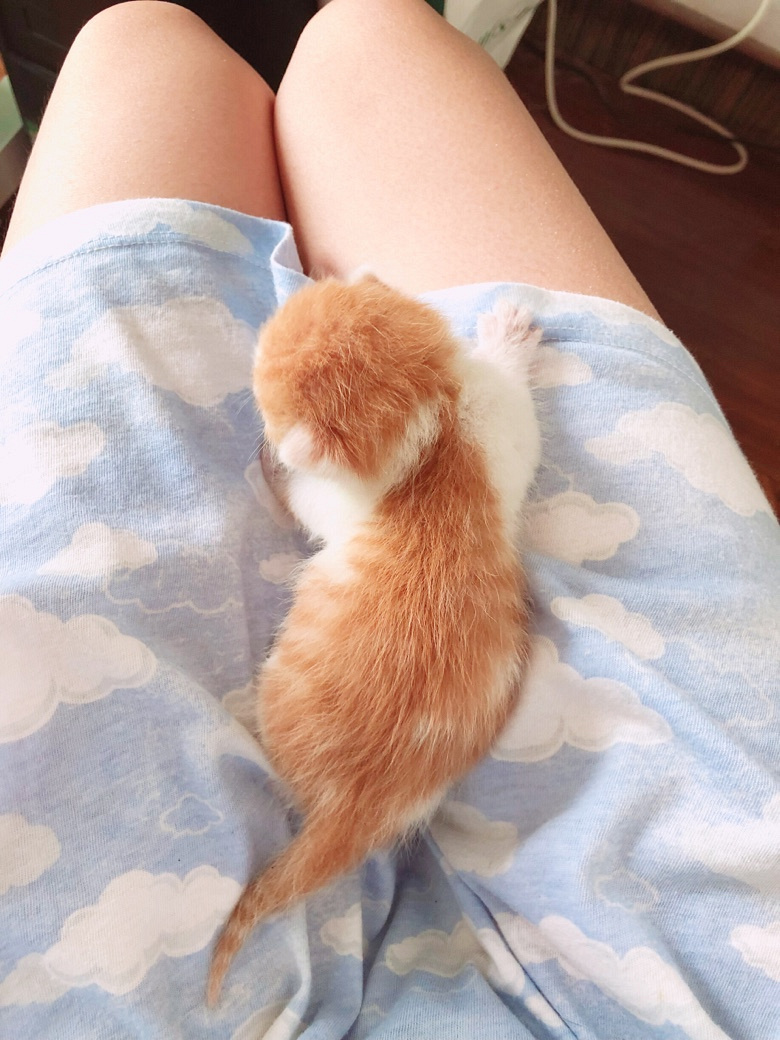 ����һ����