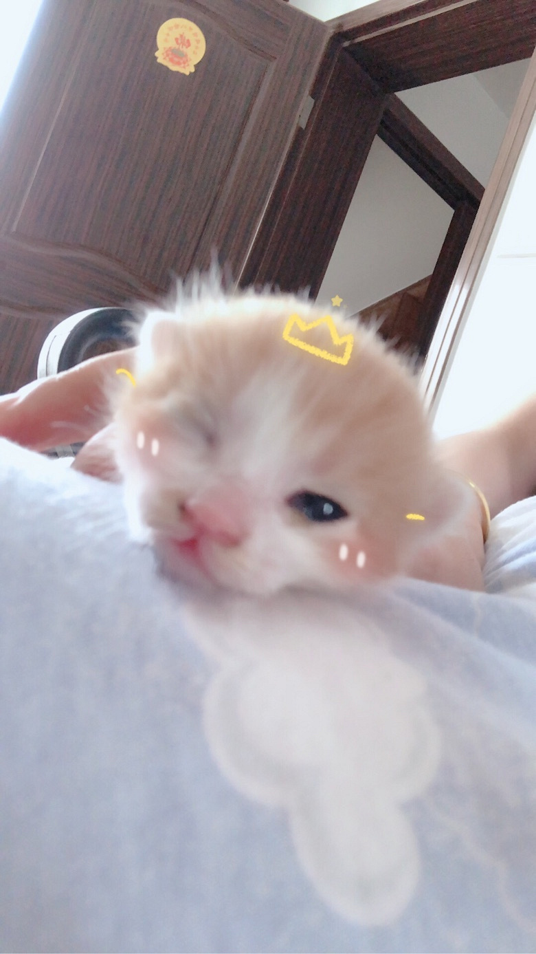 ����һ����