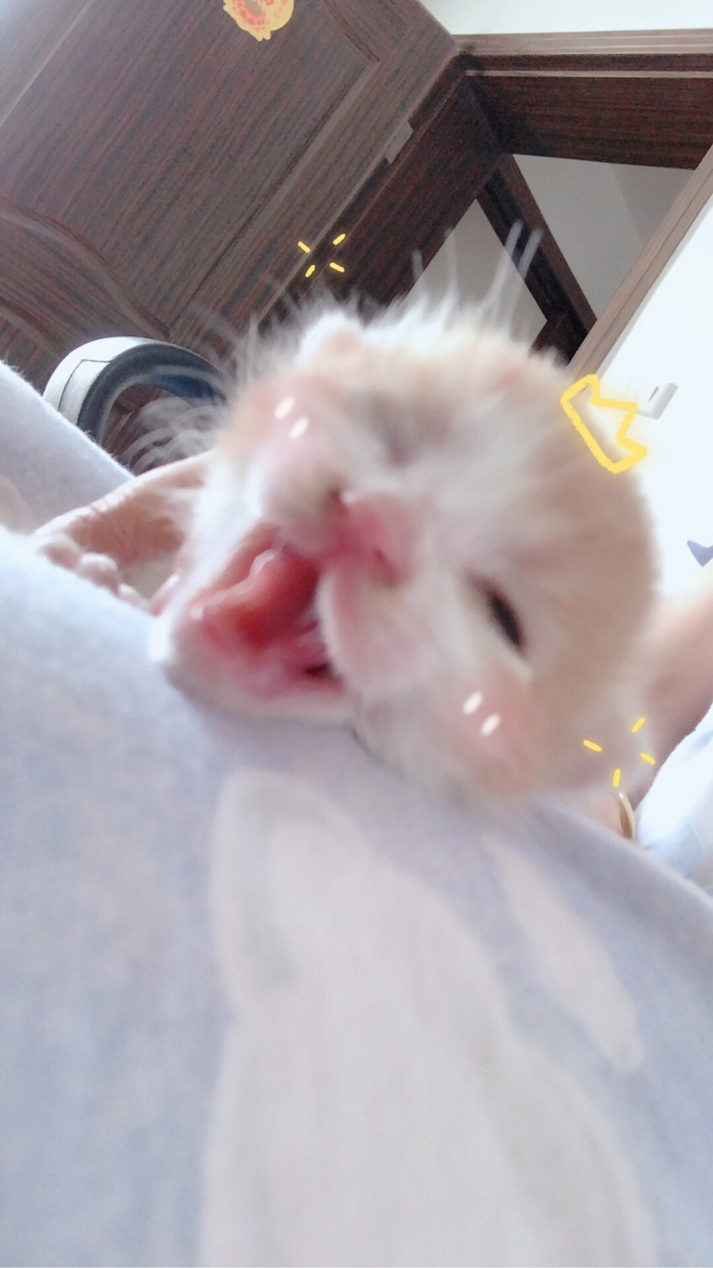 ����һ����