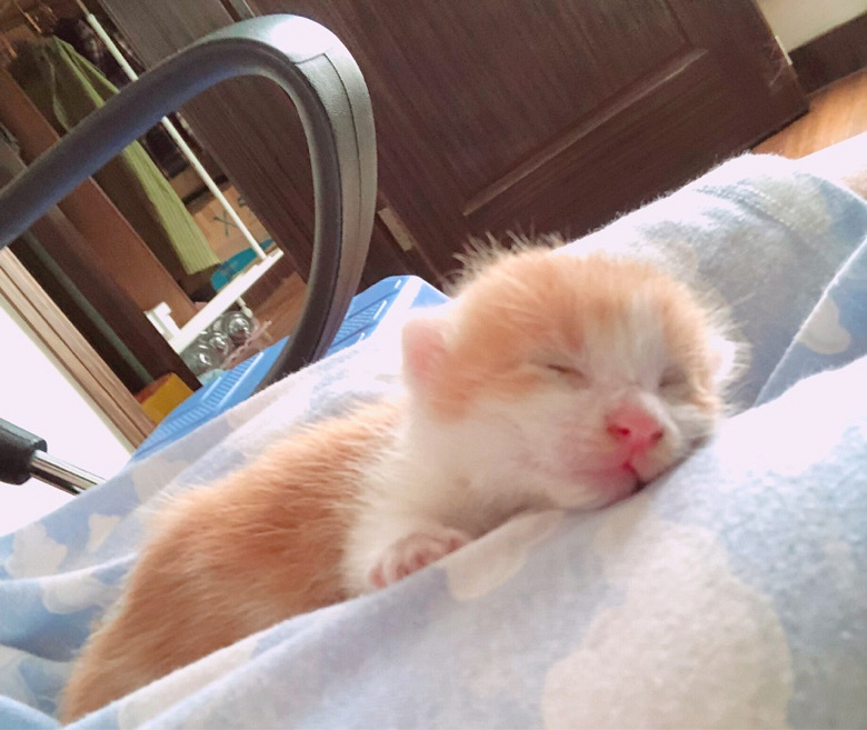 ����һ����