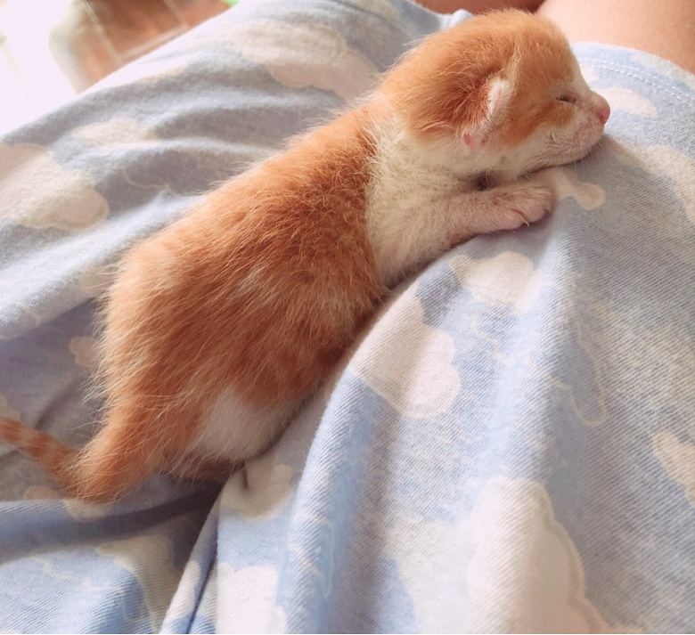 ����һ����