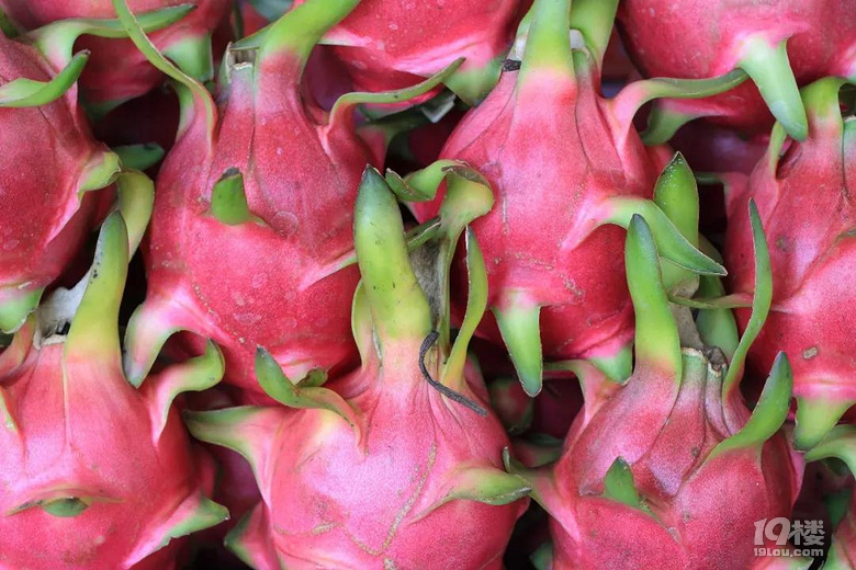 越南白心火龙果、美国新奇士黑标橙、智利绿果