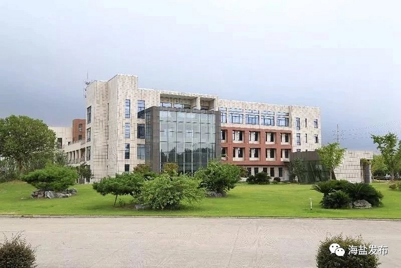 陈玲芳:项目为王 提升效率 优化服务 推动经济高