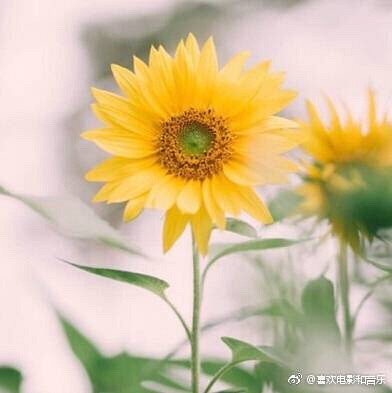 Ը��������ŵ�Զ��ܶ���