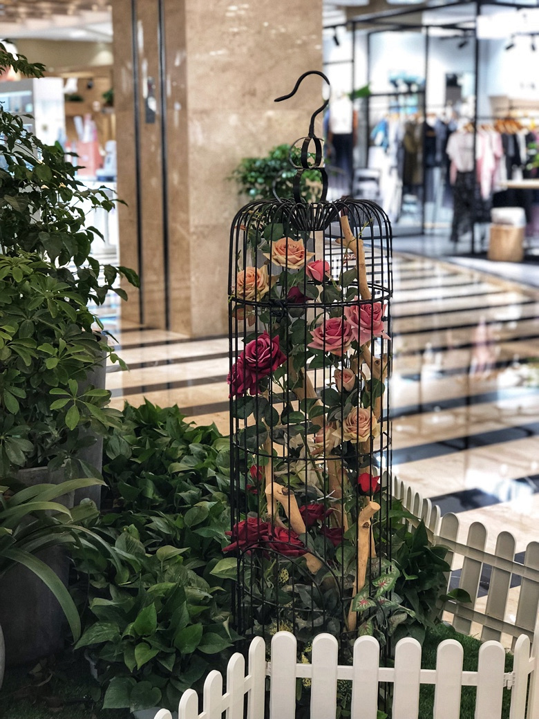 �Ȱ�����