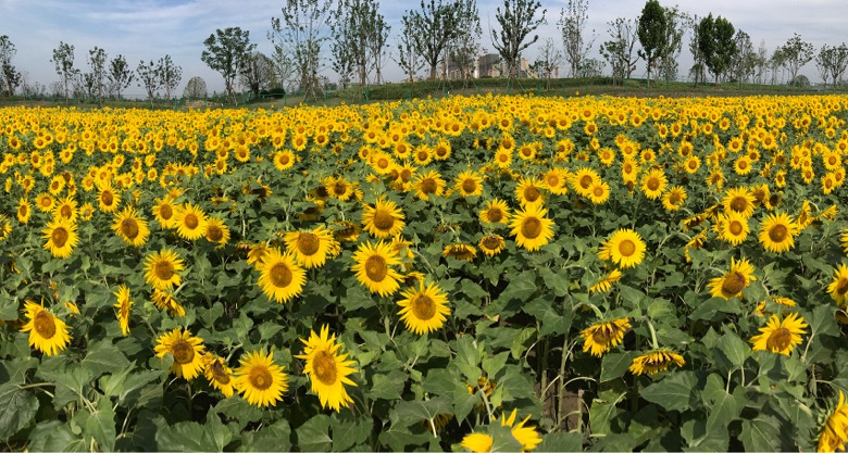 ��ա����տ�����