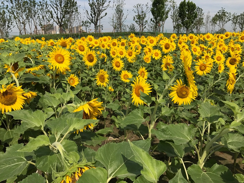 ��ա����տ�����