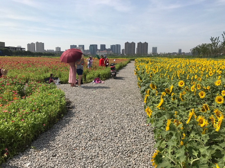 ��ա����տ�����