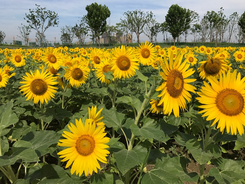 ��ա����տ�����