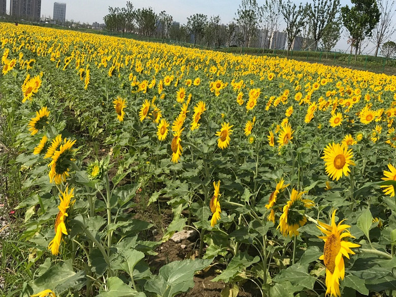 ��ա����տ�����