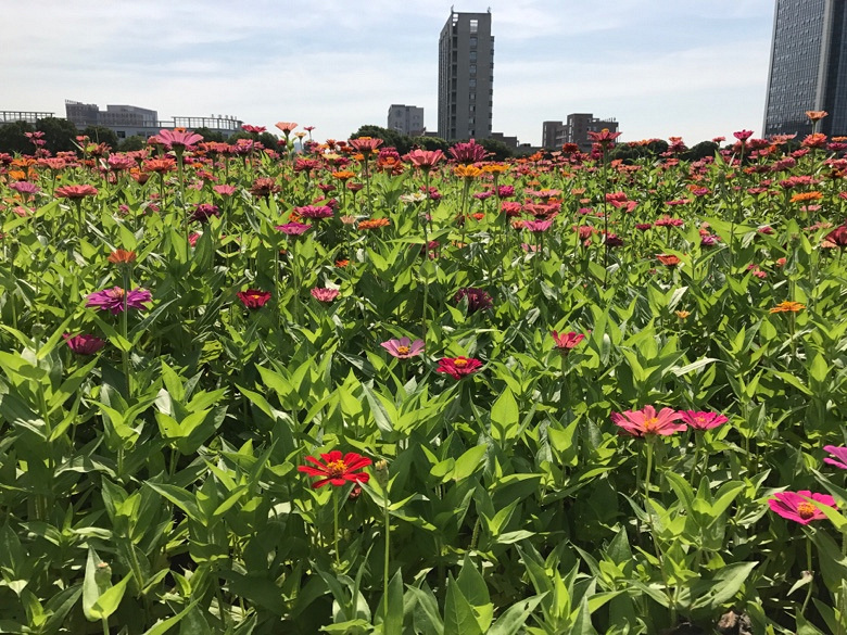 ��ա����տ�����