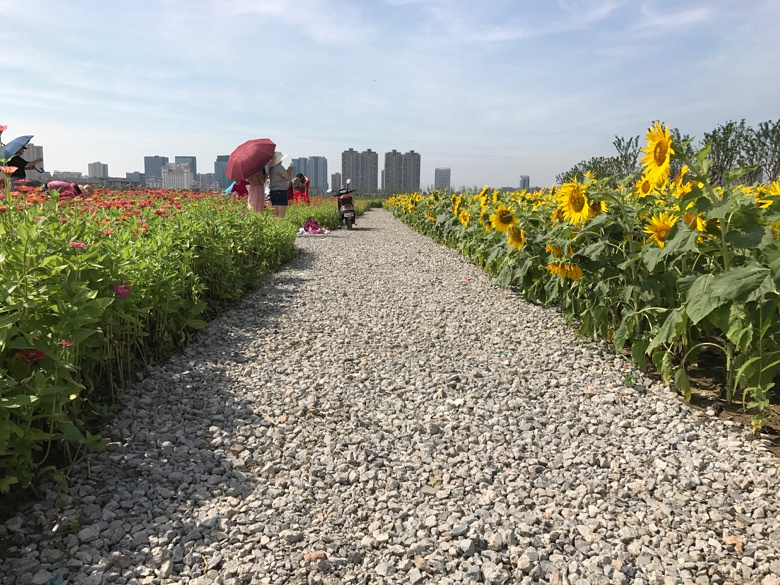 ��ա����տ�����