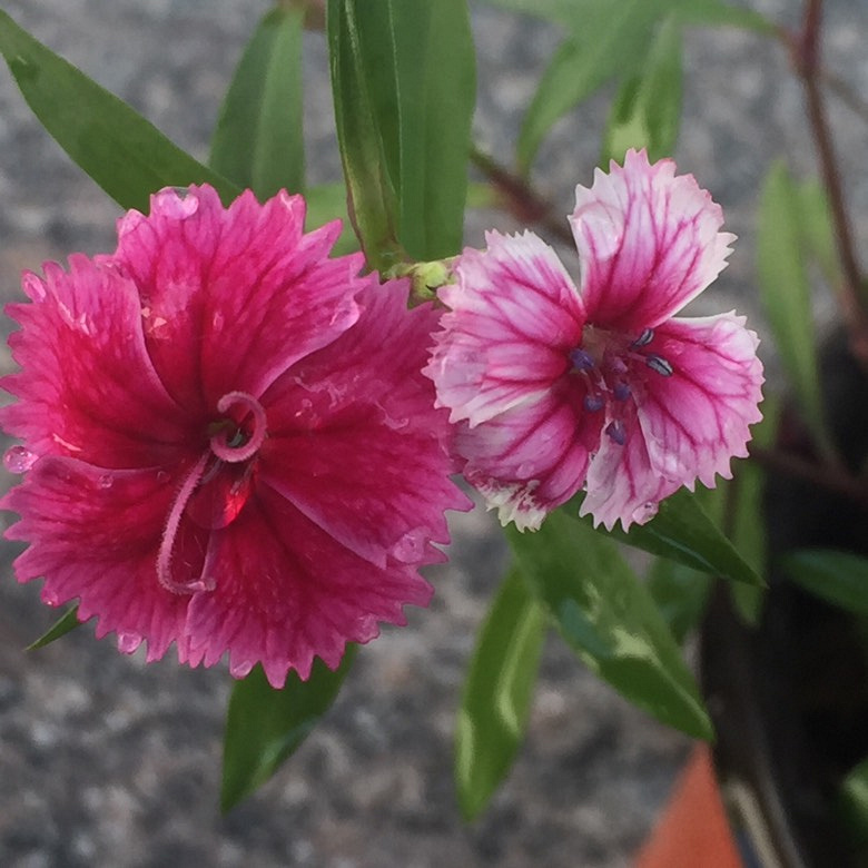 �������