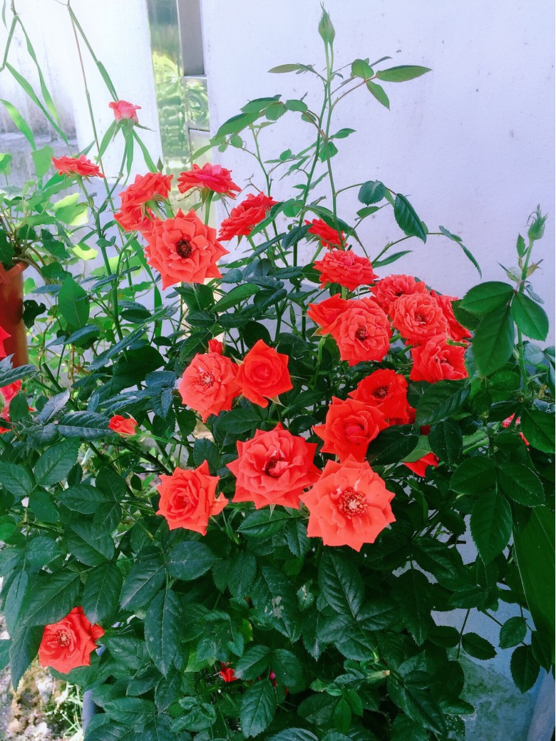 �������