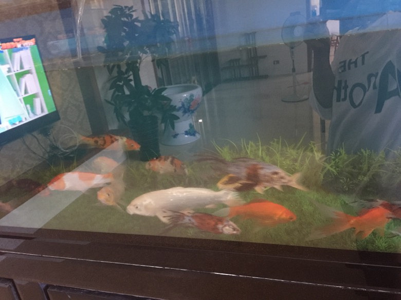 ��ļ�����˵ֻ������