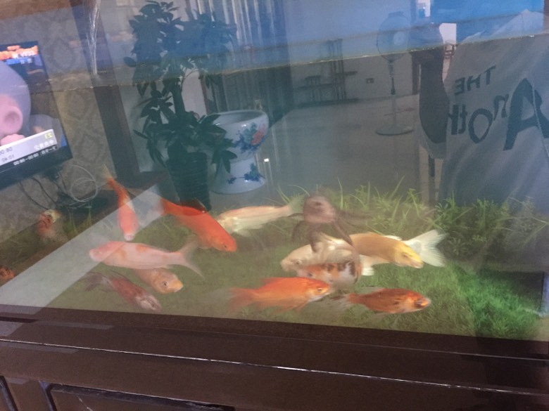 ��ļ�����˵ֻ������