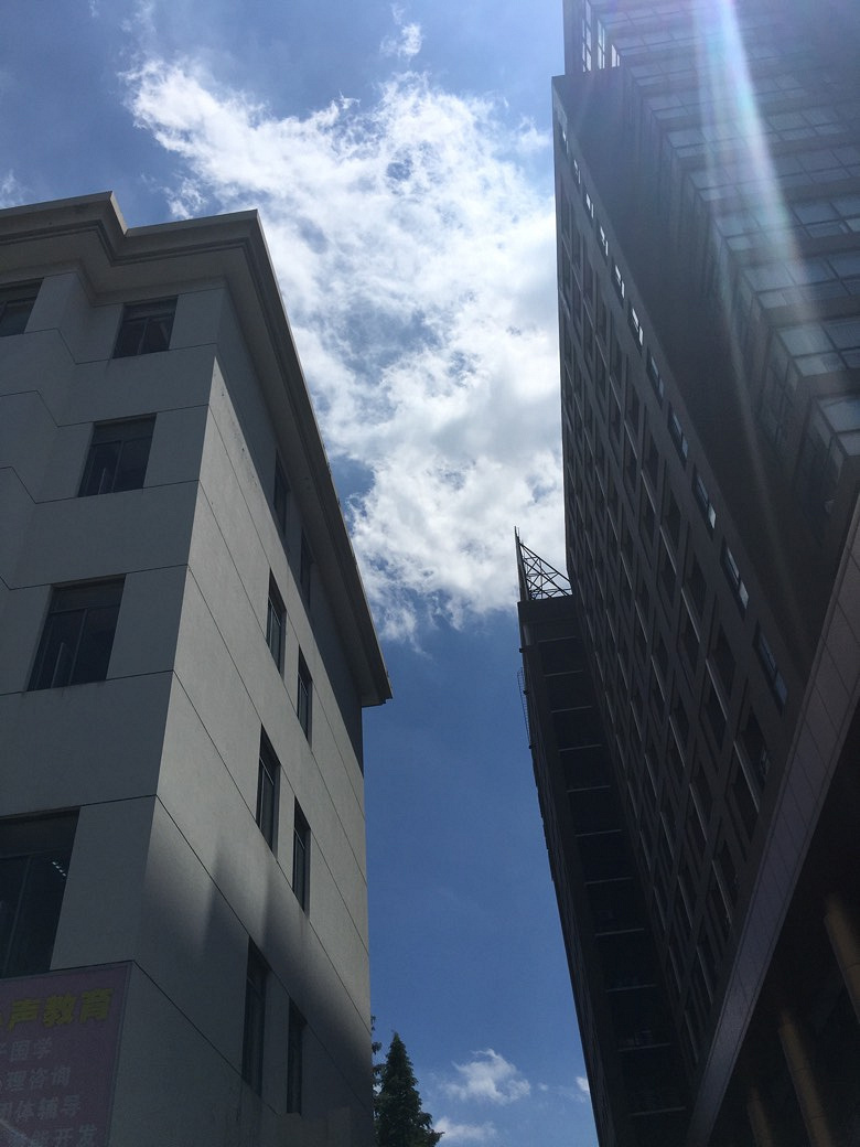 ������ȫ����