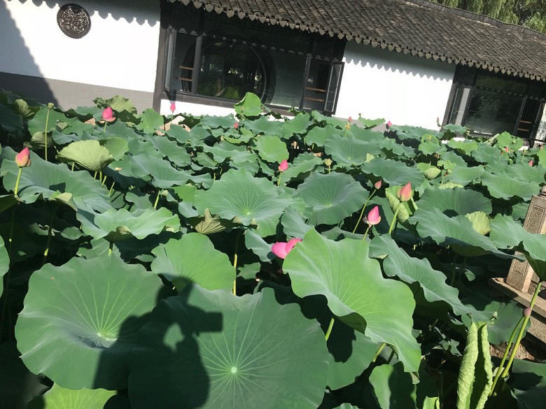 �����Ϻ�