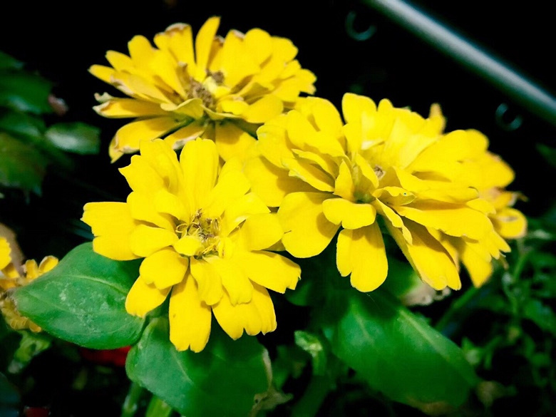 ��С�������Ļ���