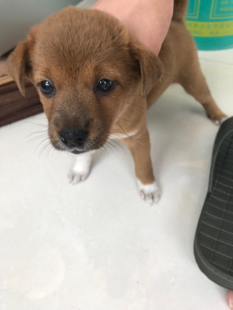 ��û����Ҫ��С��