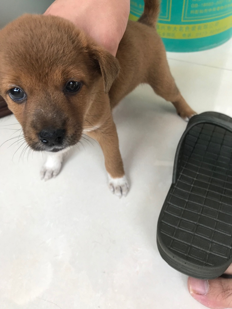 ��û����Ҫ��С��