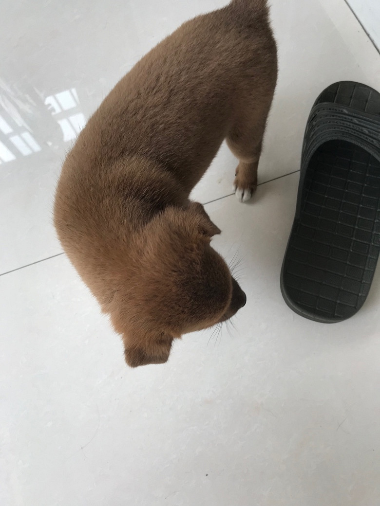 ��û����Ҫ��С��