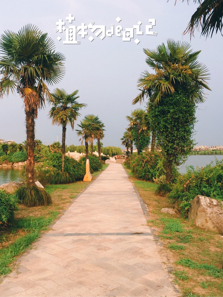 ��װ�����Σ���������Ӱ