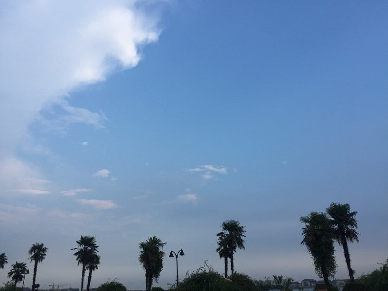 ��װ�����Σ���������Ӱ