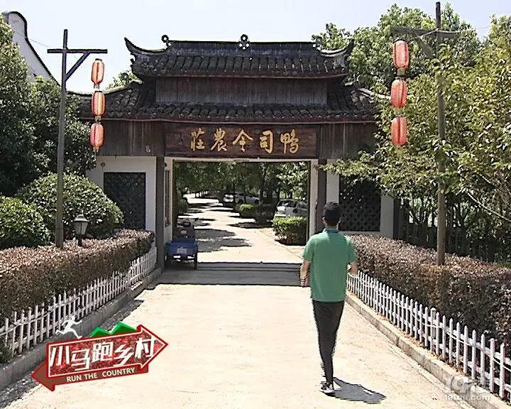 烤鸭只卖18元?网传乌镇养吃补药长大的30天