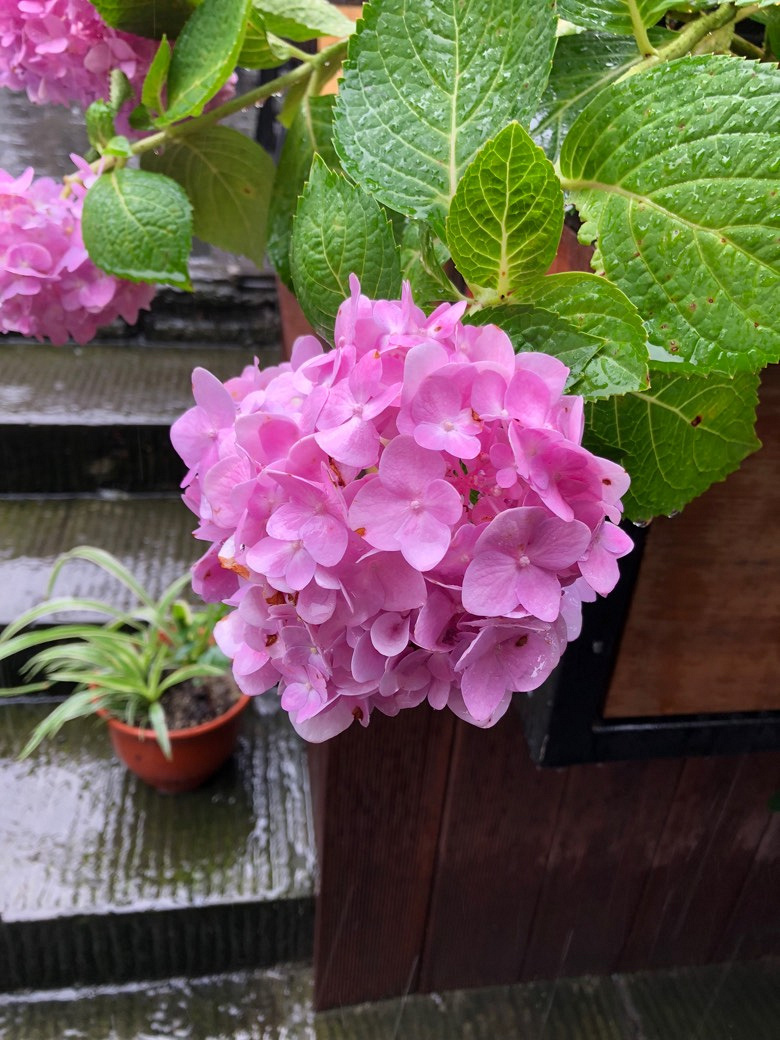 ���еĿ�խ��