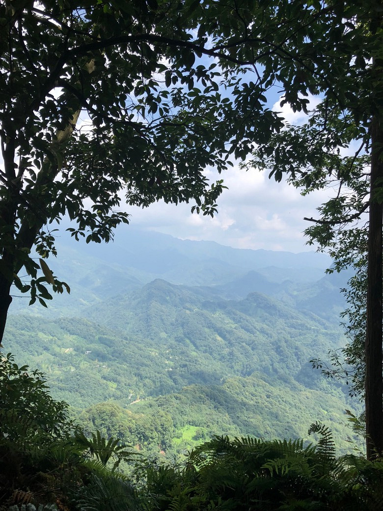 ��ˮ�����ߣ��ʵ����ɽ