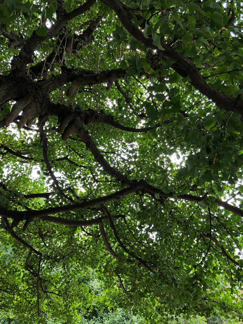 ��ˮ�����ߣ��ʵ����ɽ